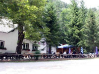 Draga