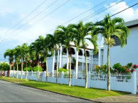 Tropical Palace