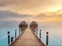 Melia Zanzibar