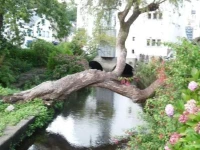 Moulin De Rosmadec 2*