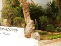 Buffalo Inn Vung Tau