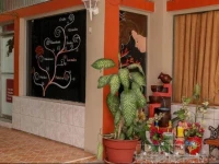 Hotel Ejecutivo 3*
