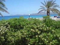 Hotel Petras Beach 1*