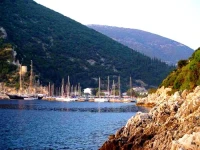 Aristotelis 3*