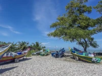 Miri Trail Guesthouse 1*