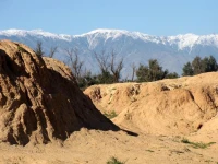 Dar Tara 