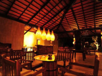 Cinnamon Wild Yala