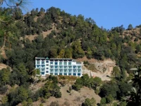 Chail Crown 3*