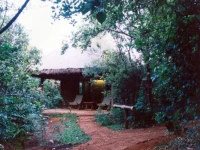 Wildernest Nature Resort 2*