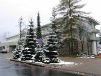 Daglezja 3*