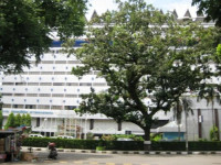 Danau Toba International