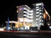 Luwansa Hotel Palangkaraya 3*