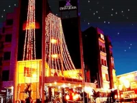 Dyan Graha Hotel 3*