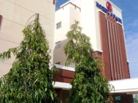 Abadi Hotel Sarolangun 3*