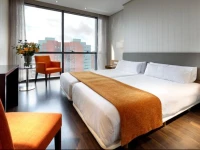 Hotel Puerta De Burgos 4*
