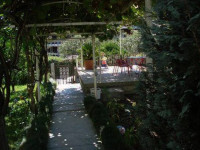 Borozan