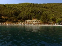 Blue Suites 