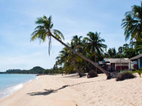Fortuna Samui