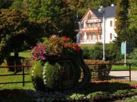 Villa Alpska Ruze 4*