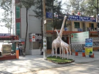 Nilima Resort Hotel 2*
