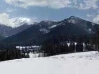 Kolowrat 4*