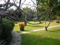 Villa Chiarenza Maison dHotes 3*