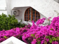 Rubini Rooms 2*