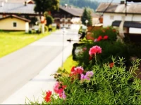 Pension Hohe Salve 3*