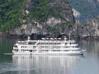 Auco Cruiser 5*