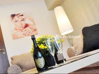 Corporate Apartments Bucharest 3*