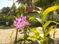 Bunnys Beach Resort 4*