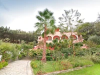 Evergreen Apartments 