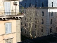 Friendship Place 1*