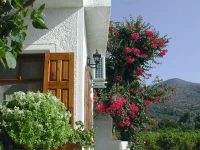 Pelagia Apartments 2*