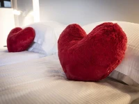 Wellness Hotel Casa Barca 3*