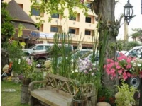 Win Place Hotel 3*
