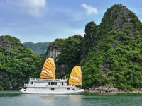 Paradise Privilege Cruise 4*