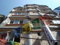 Avalon House 