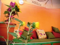 Nightcap Hostel 2*