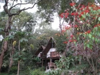 Karama Lodge 4*