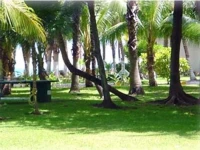 Villas Tacul Boutique Hotel Marina 4*
