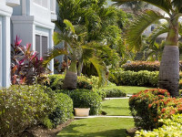Coral Stone Club