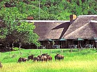 Bakubung Bush Lodge 5*