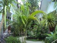 Ricel Homestay 1*