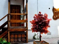 Tacima Hotel 1*