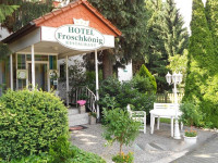 Hotel Froschkonig