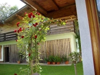 Ferienhotel Iris 3*