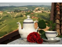 Agriturismo Bianconiglio 2*