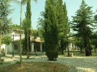 Dandolo 