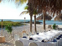 Divi Aruba Phoenix Beach Resort